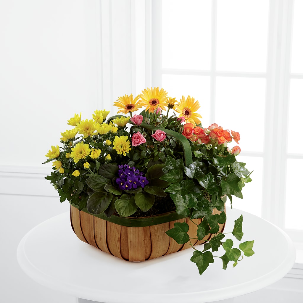 Gentle Blossoms Basket – Greater Derby Flower Shop, Derby KS