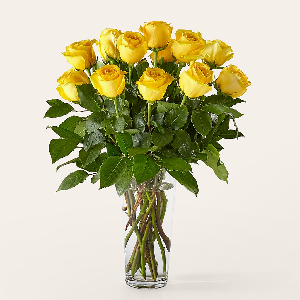Long Stem Yellow Rose Bouquet – Greater Derby Flower Shop, Derby KS