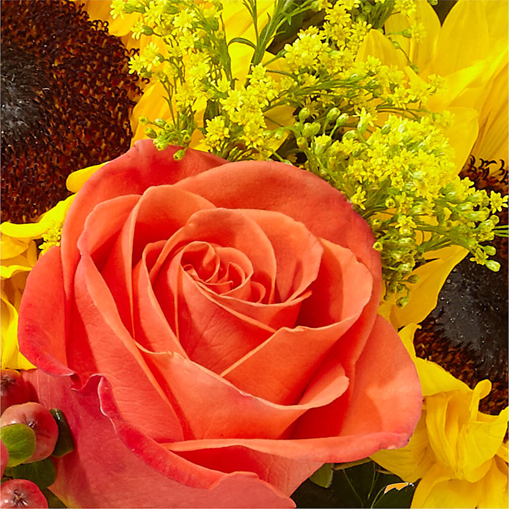 Pick of the Patch Pumpkin Bouquet –  Greater Derby Flower Shop, Derby KS