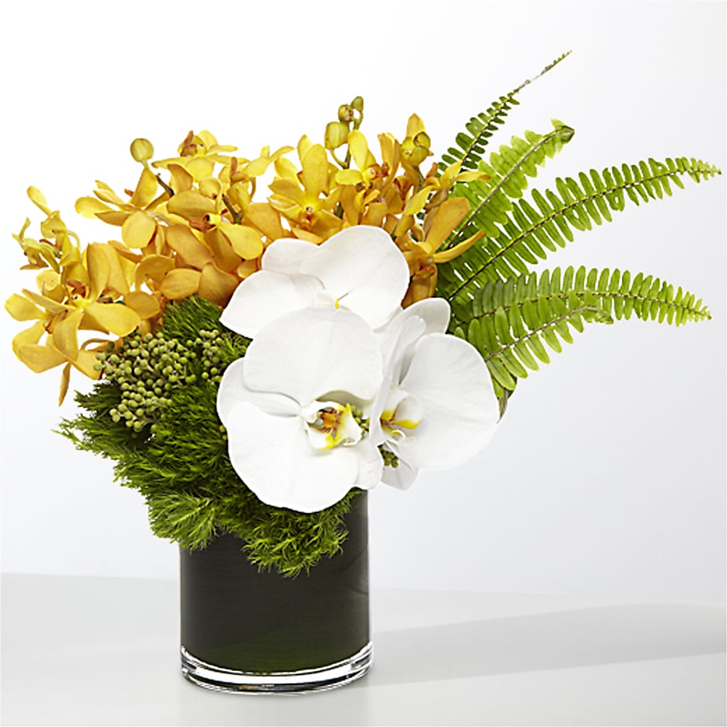 The Tropics –  Greater Derby Flower Shop, Derby KS