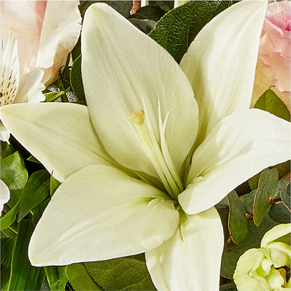 Ballet Slippers Bouquet –  Greater Derby Flower Shop, Derby KS